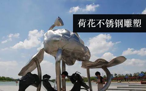 蓮花 荷花 蓮花 荷花